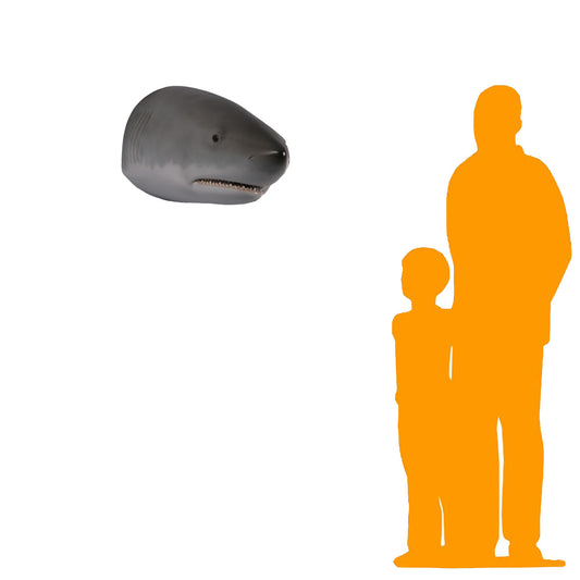 Great White Shark Head Statue