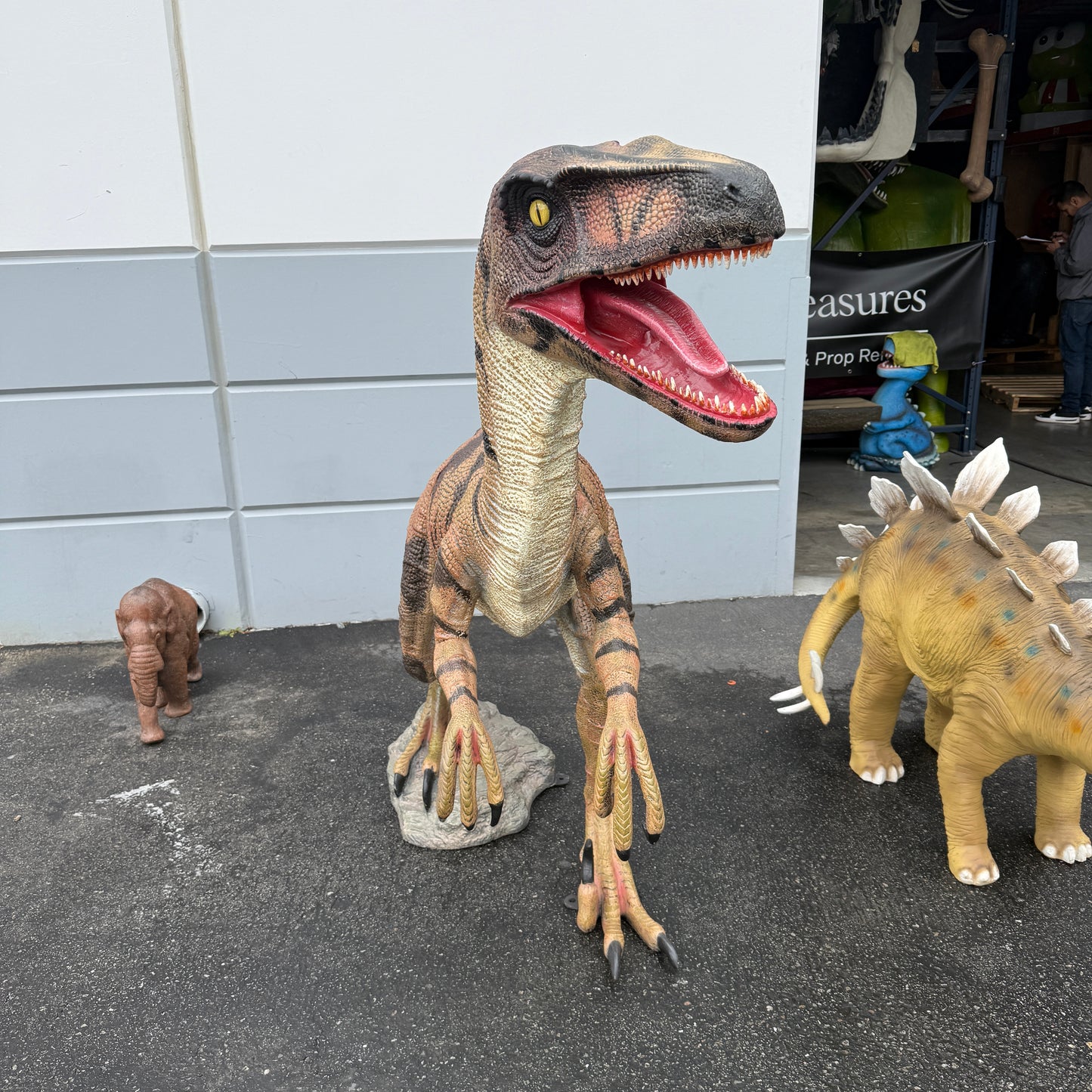 Brown Velociraptor Dinosaur Life Size Statue