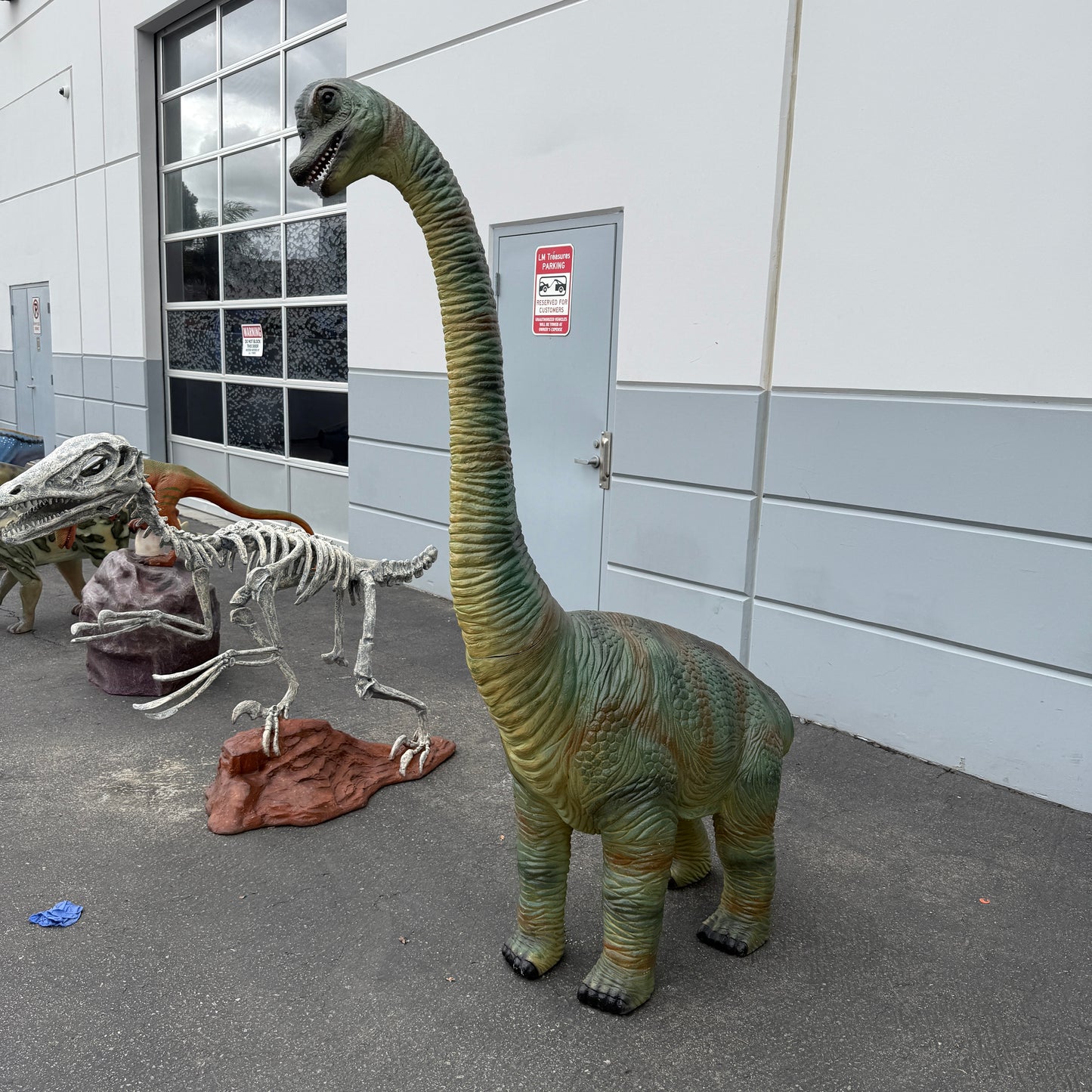 Baby Brachiosaurus Dinosaur Statue