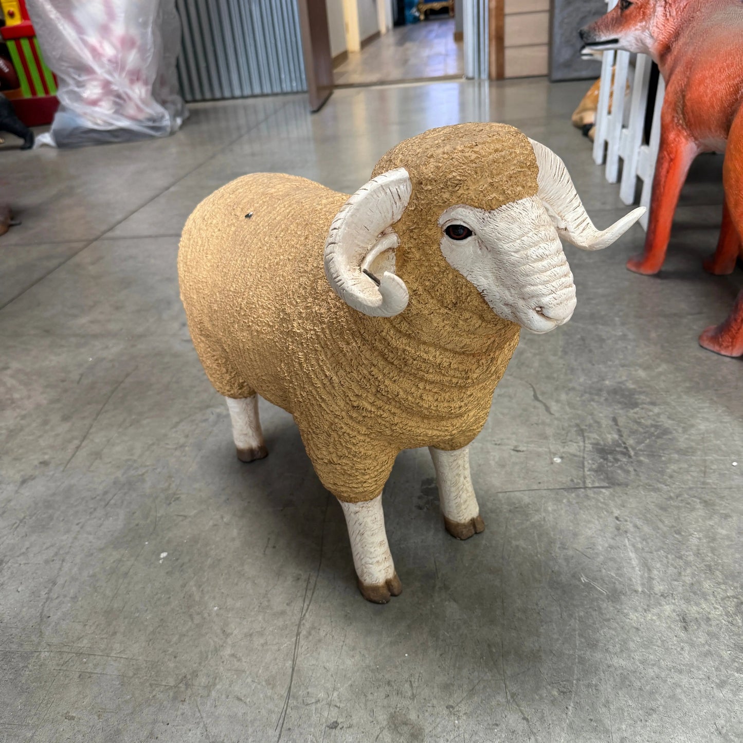 Baby Merino Ram Statue A0287-110128-H