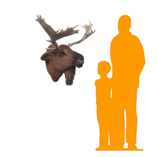 Moose Head Statue A0030-2076-A