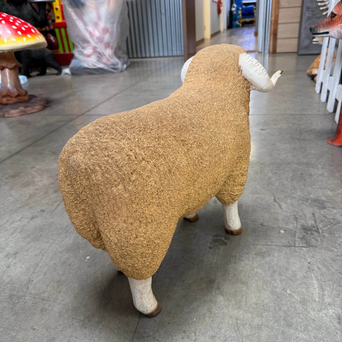 Baby Merino Ram Statue A0287-110128-H