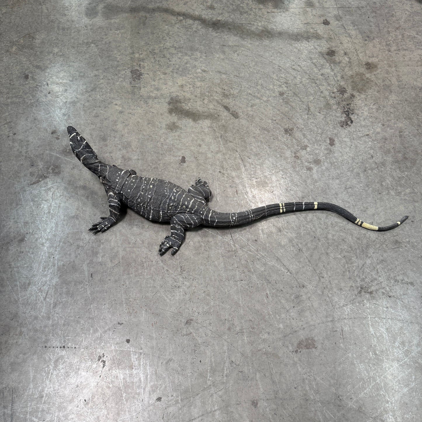 Lace Monitor Lizard Statue