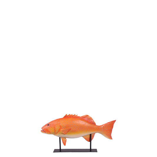 Coral Trout Fish on Base Statue