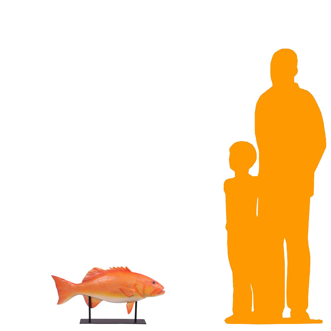 Coral Trout Fish on Base Statue