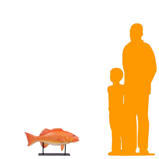 Coral Trout Fish on Base Statue