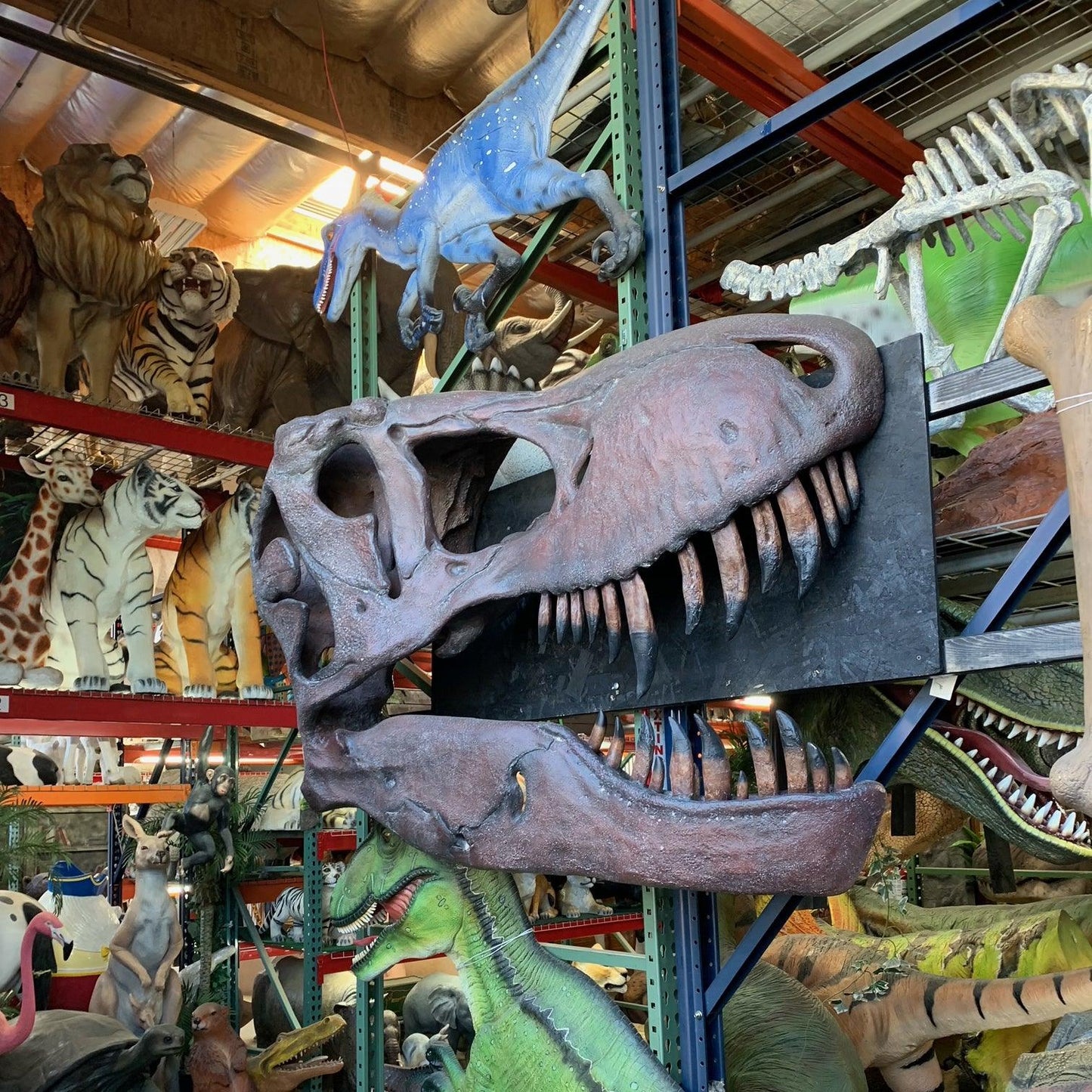 T-Rex Skull Wall Decor Statue