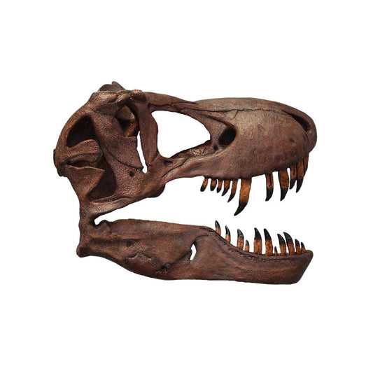 T-Rex Skull Wall Decor Statue