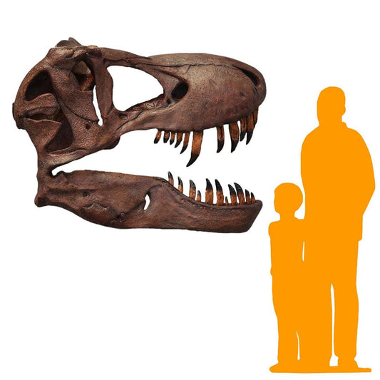 T-Rex Skull Wall Decor Statue