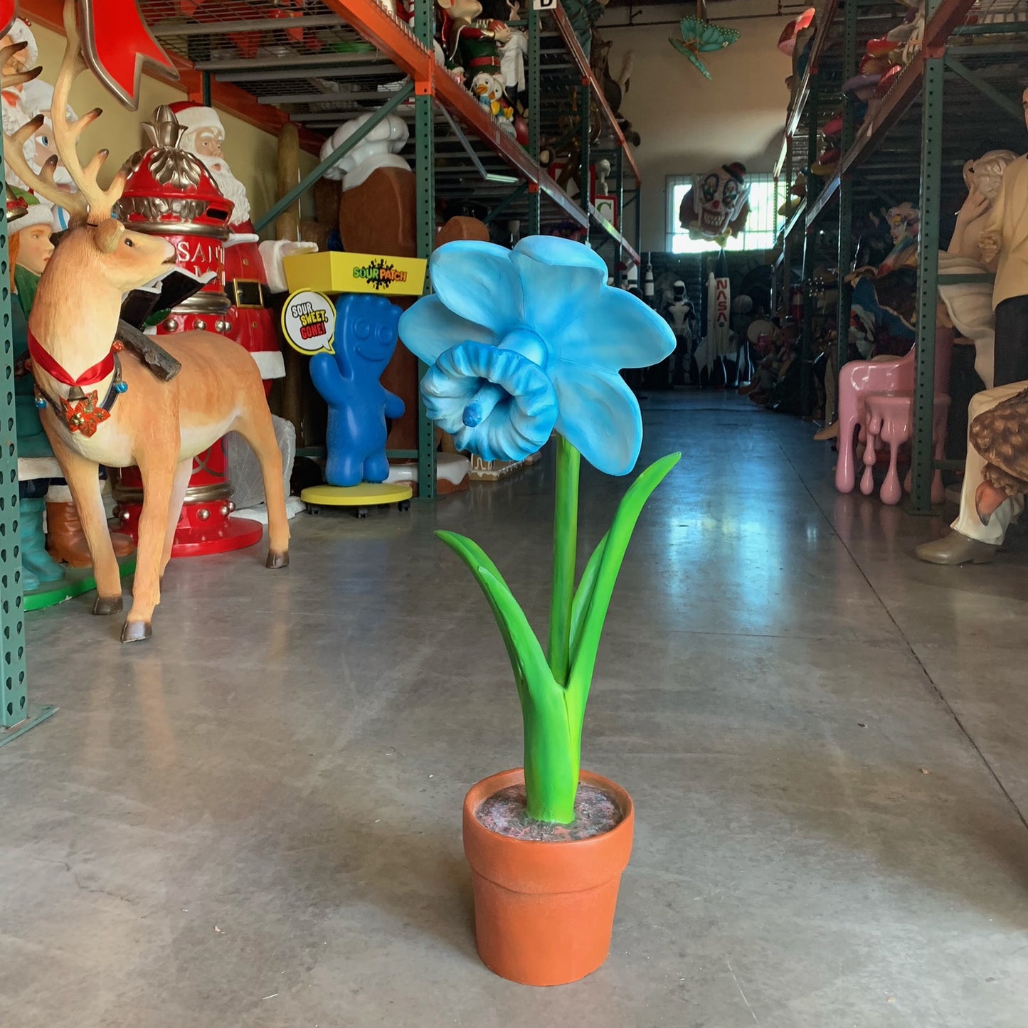 Small Blue Narcis Flower Statue