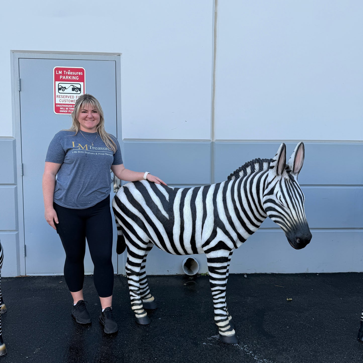 Standing Zebra Life Size Statue