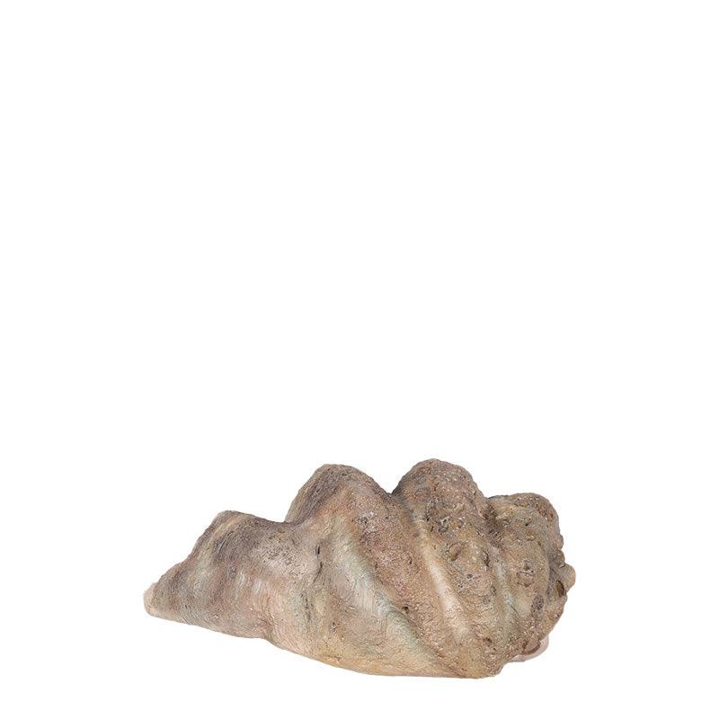 Clam Sea Shell Statue - LM Treasures Prop Rentals