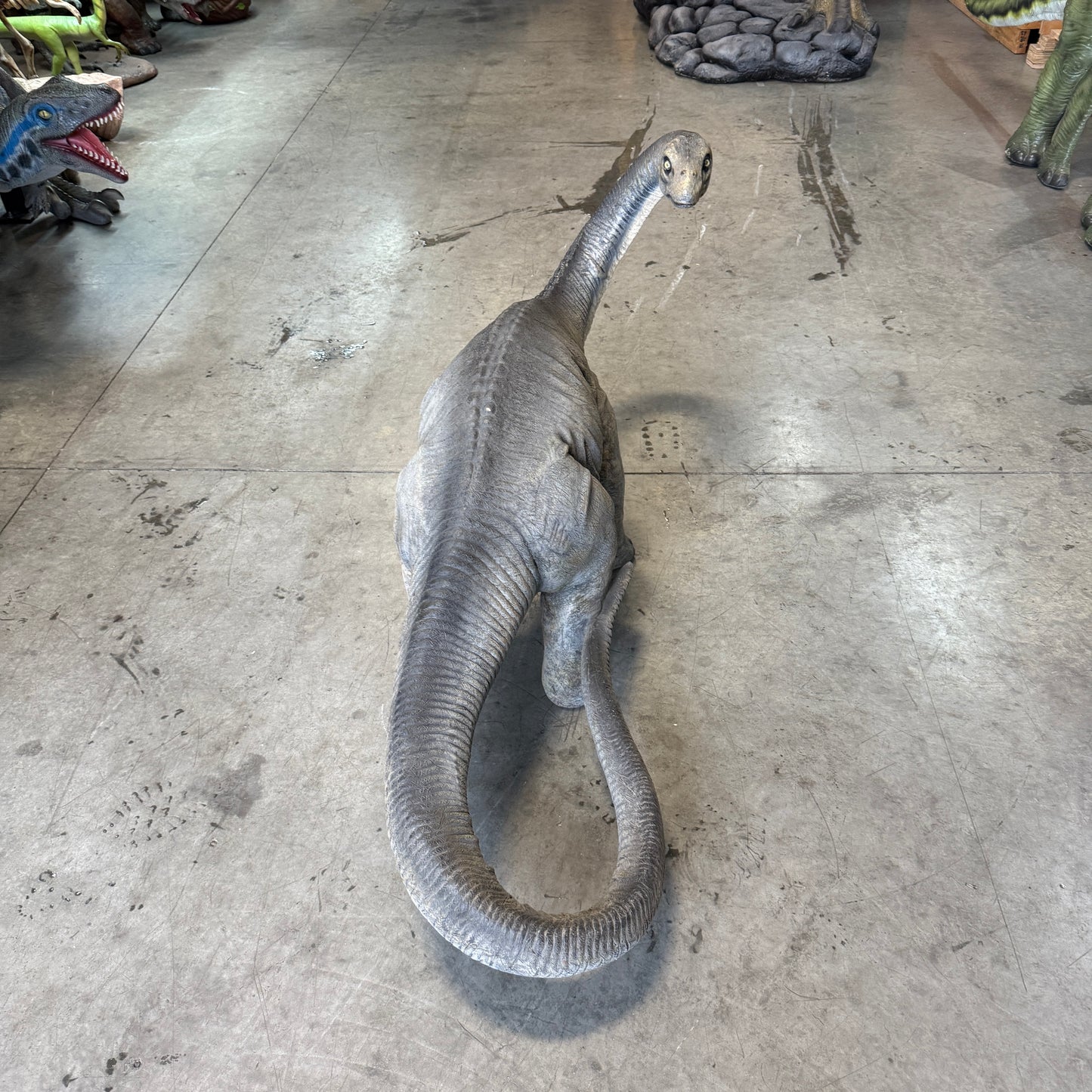 Small Apatosaurus Dinosaur Statue