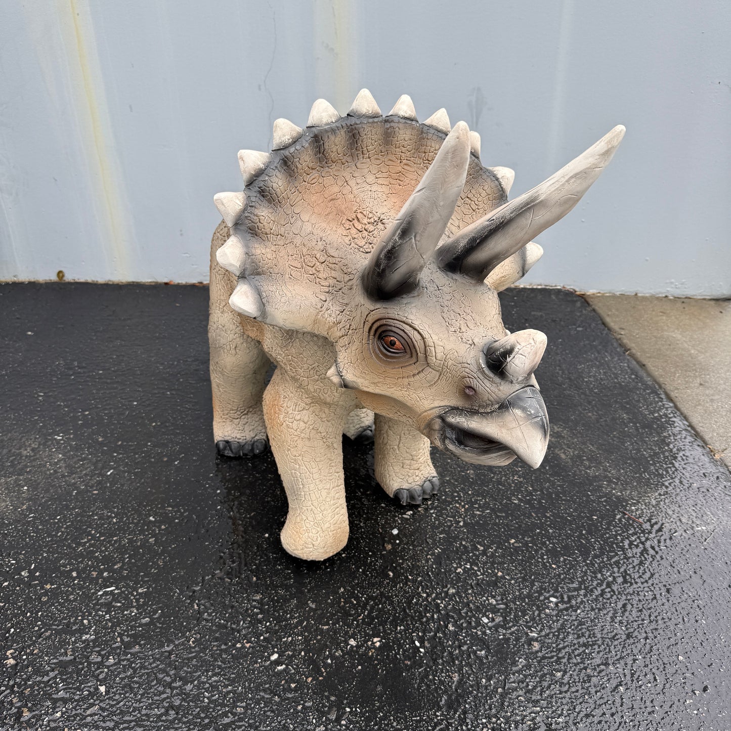 Small Gray Walking Triceratops Dinosaur Statue