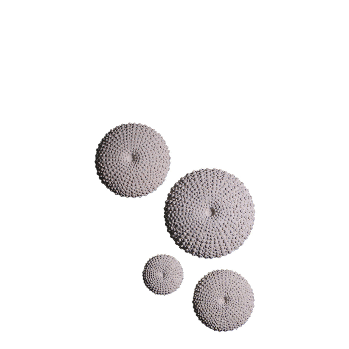Sea Urchins Set of 4 Fossil Wall Decor Statues