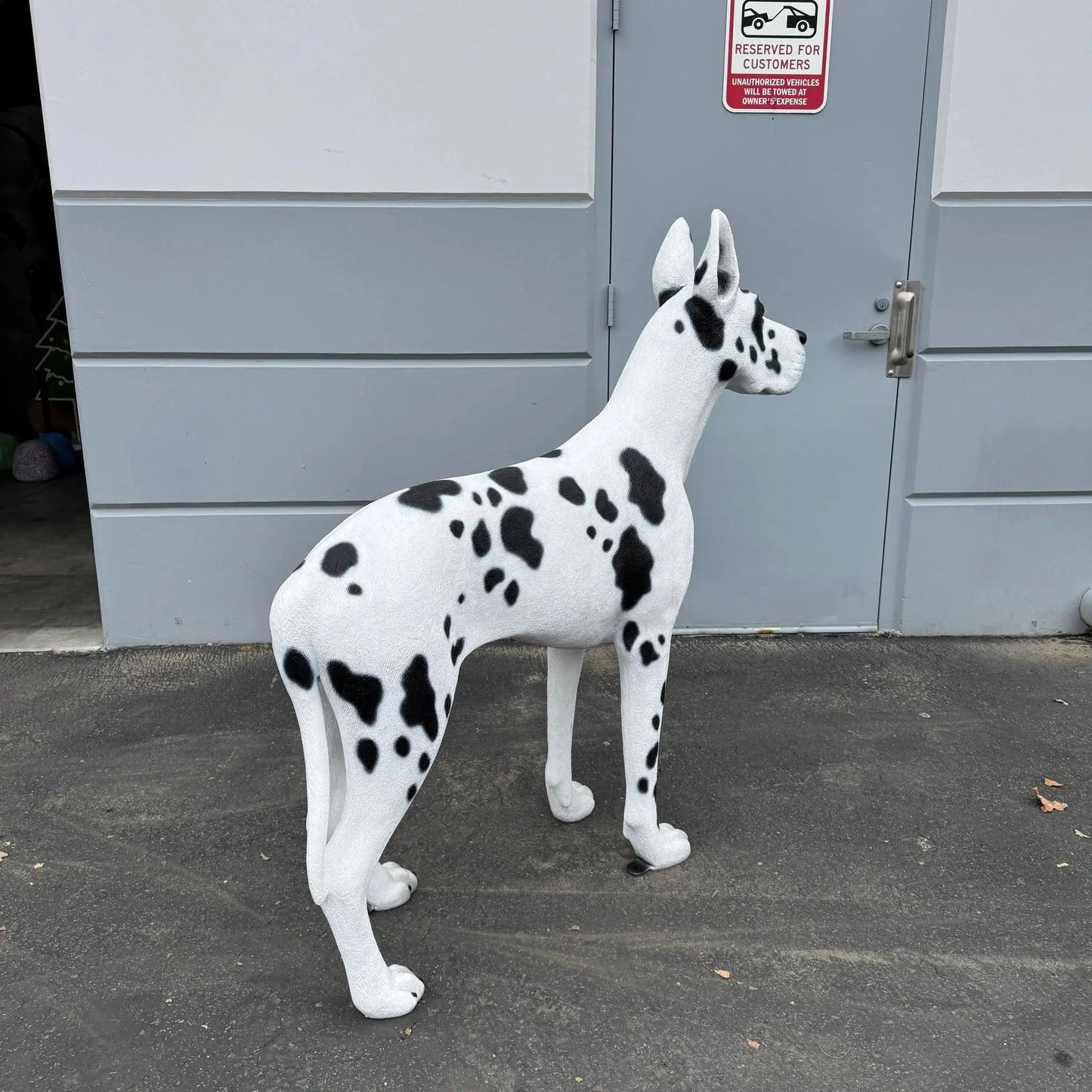 Great Dane Dog Life Size Statue A0117-240150-H