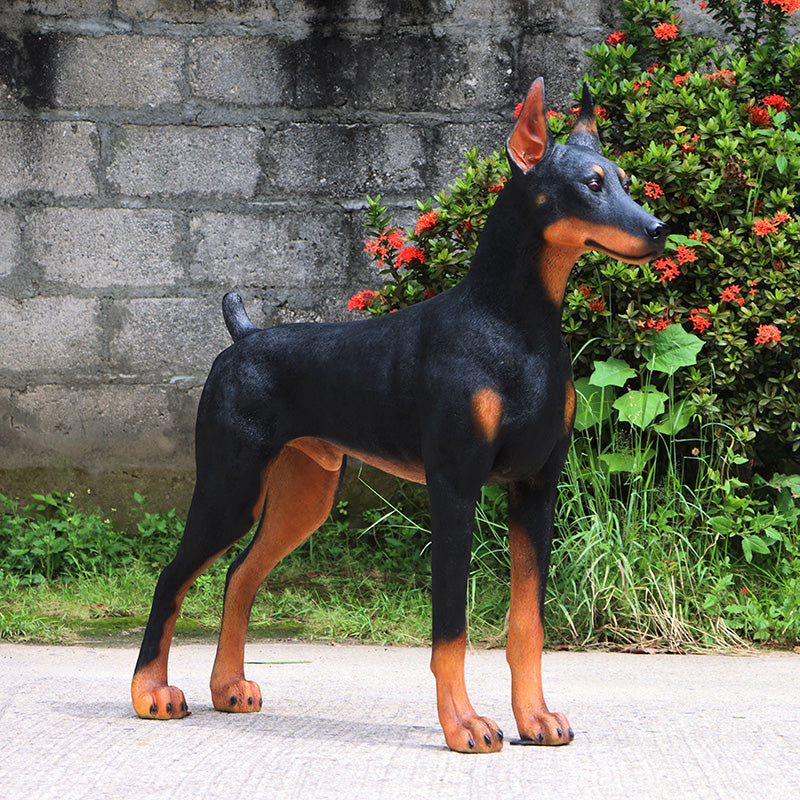 Doberman Dog Life Size Statue A0118-240189-H