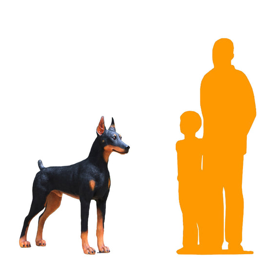 Doberman Dog Life Size Statue A0118-240189-H