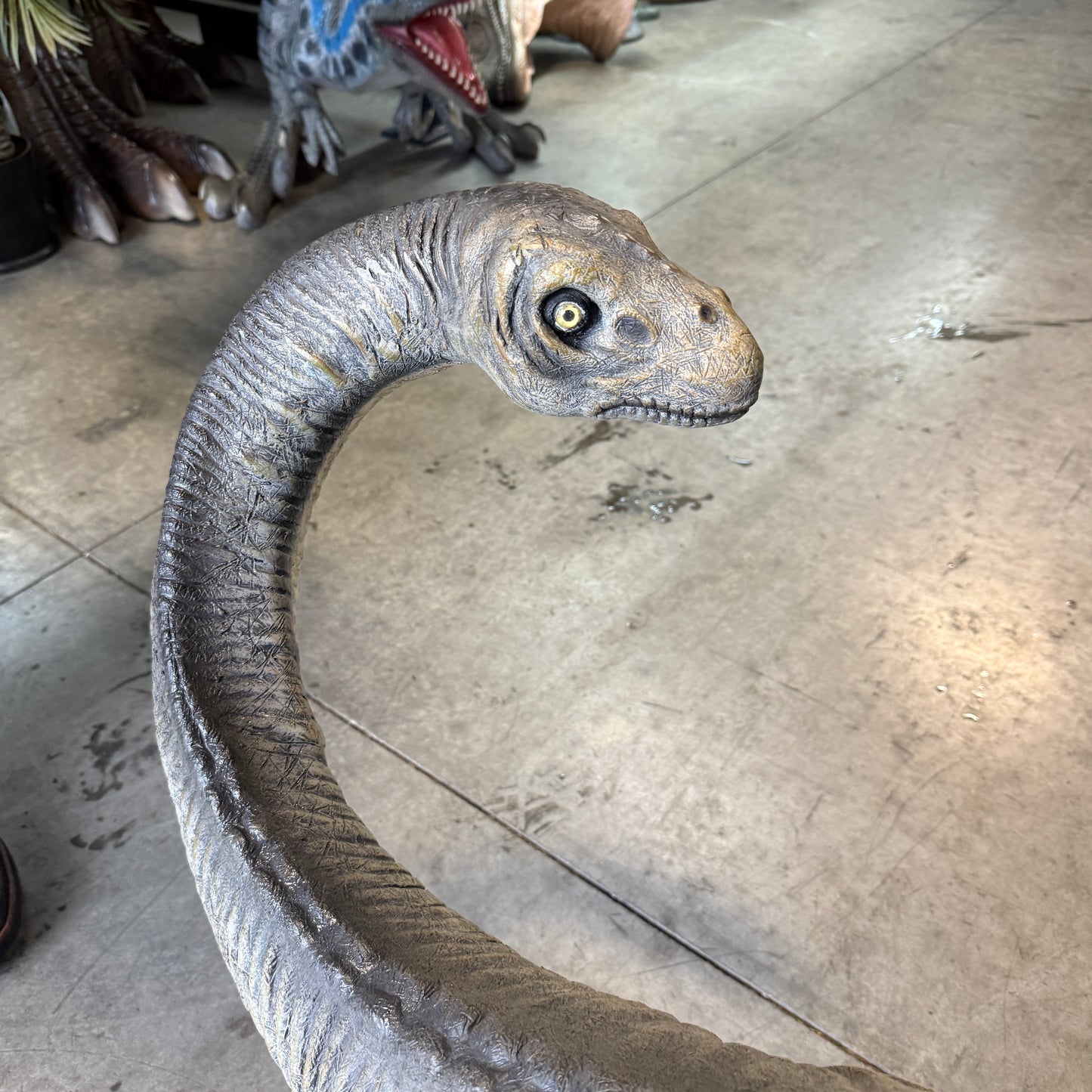 Small Apatosaurus Dinosaur Statue