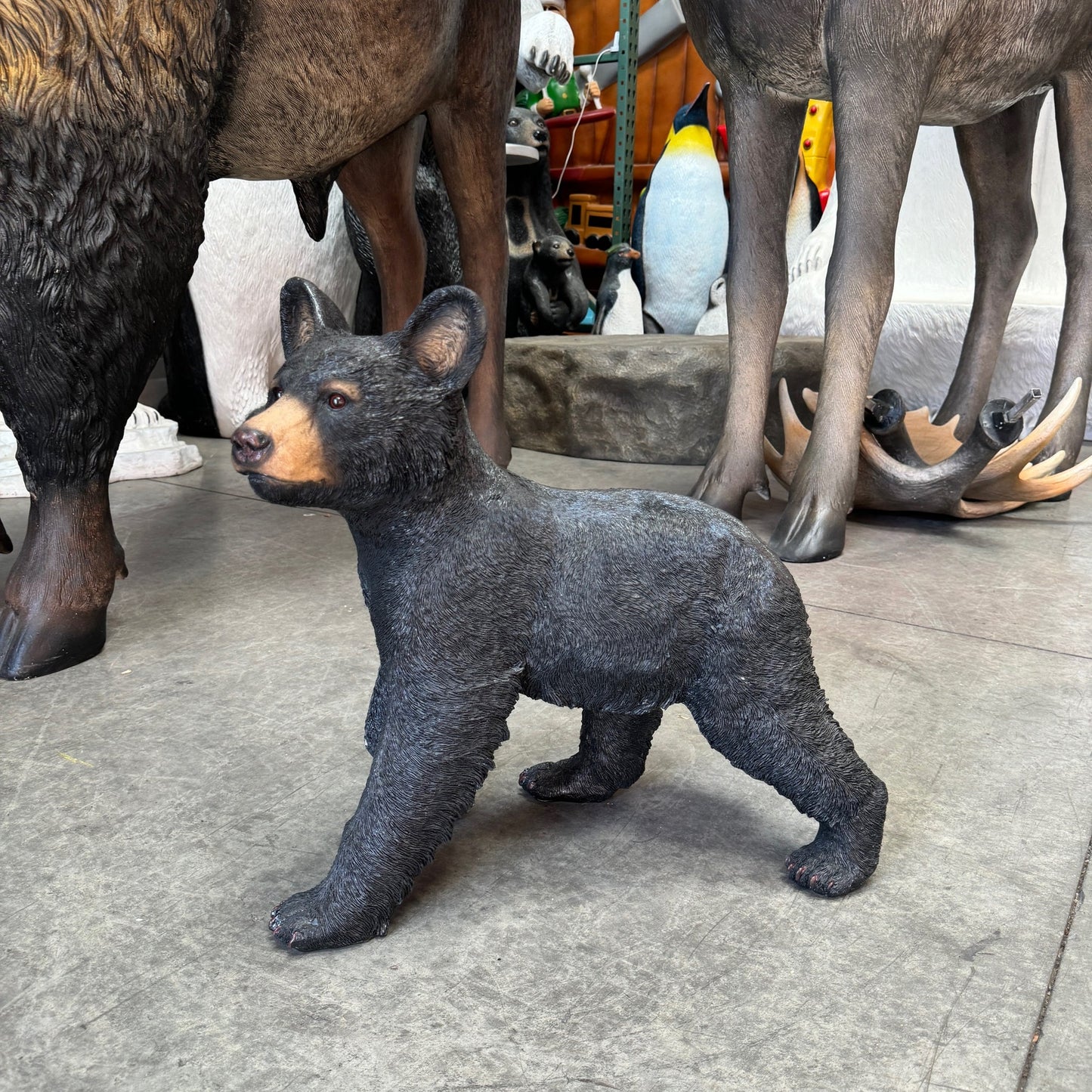 Walking Black Baby Bear Cub Statue