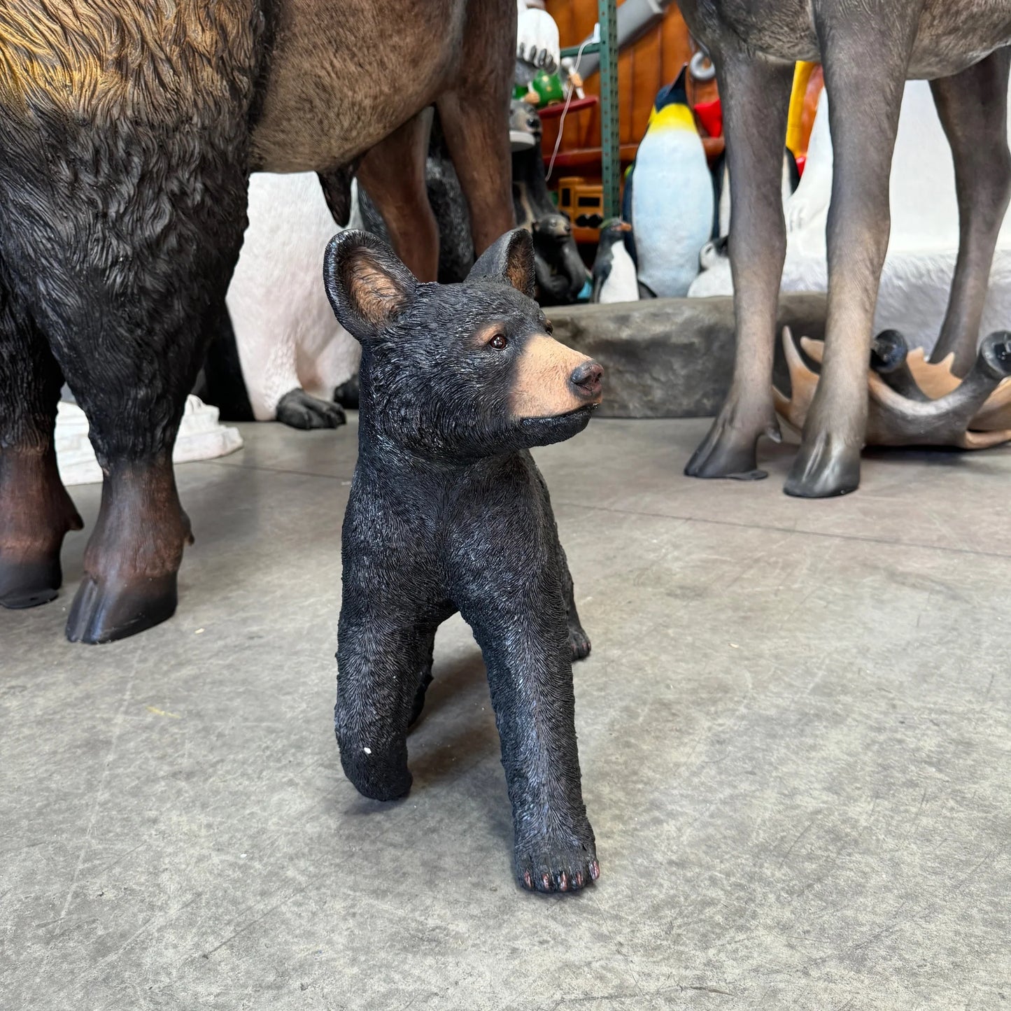 Walking Black Baby Bear Cub Statue