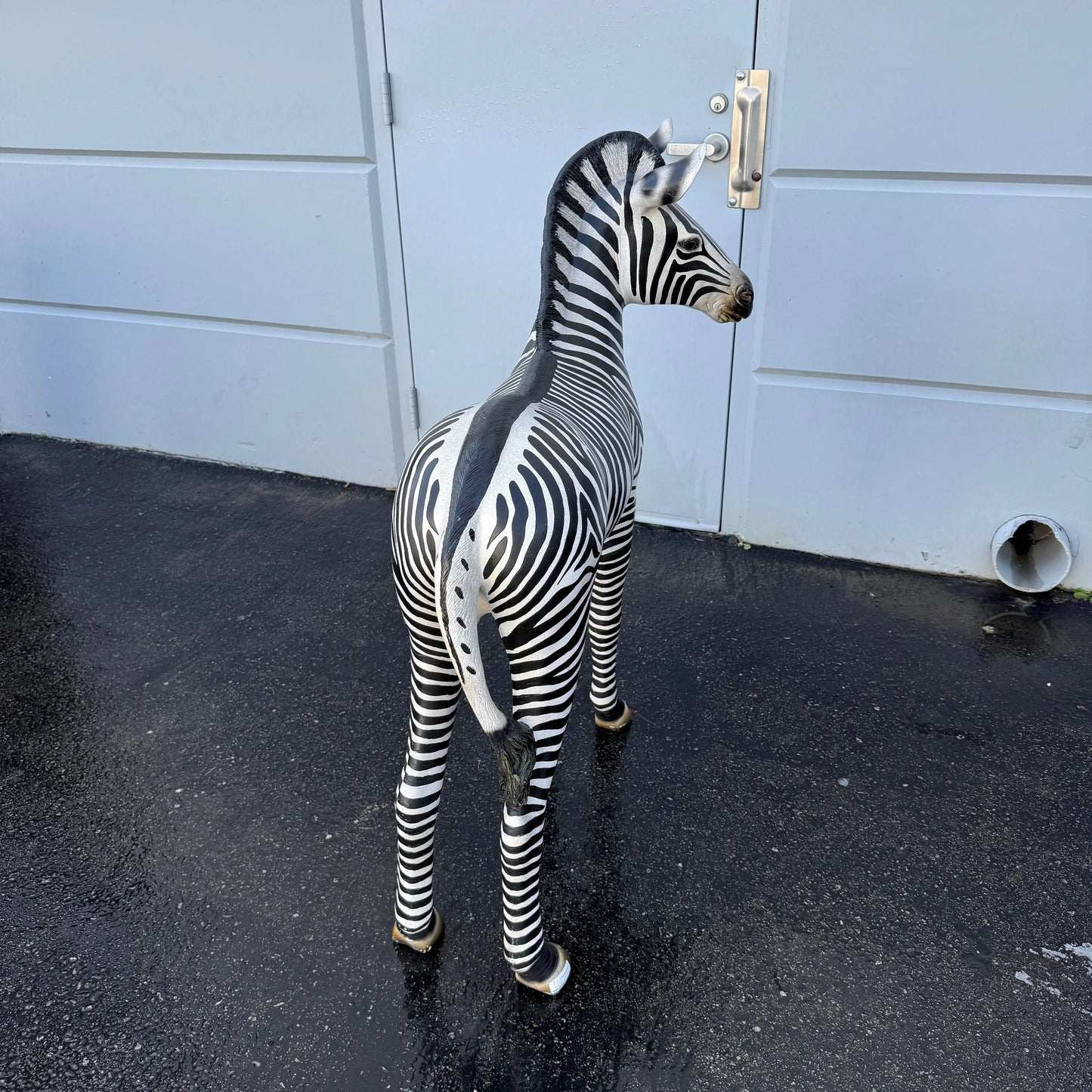 Baby Zebra Statue A0227-110099-H