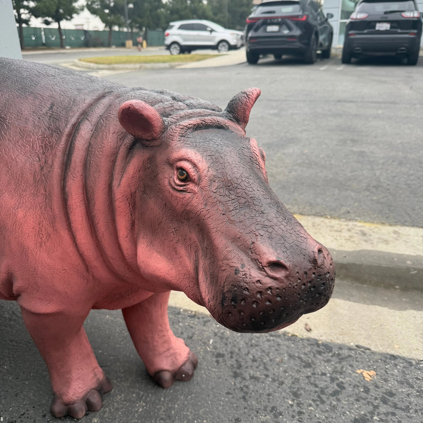 Light Baby Hippo Statue A0605-R003-PT