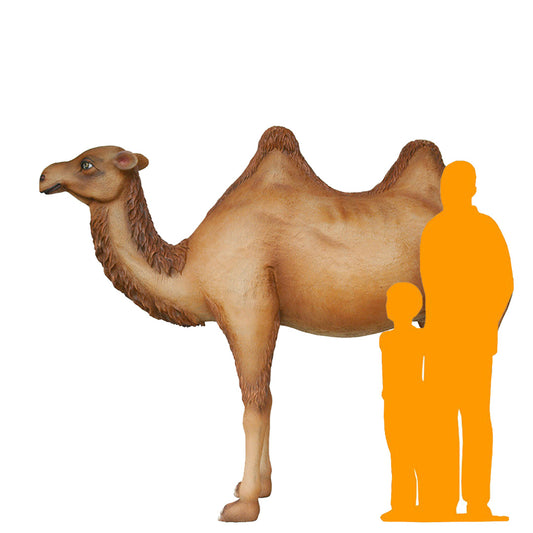 Standing Camel Life Size Statue