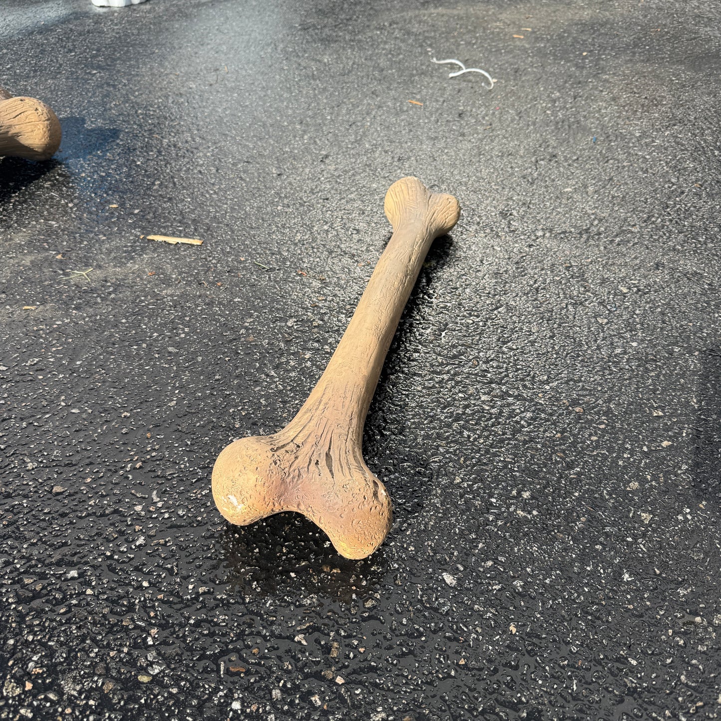 Small Dinosaur Bone Statue