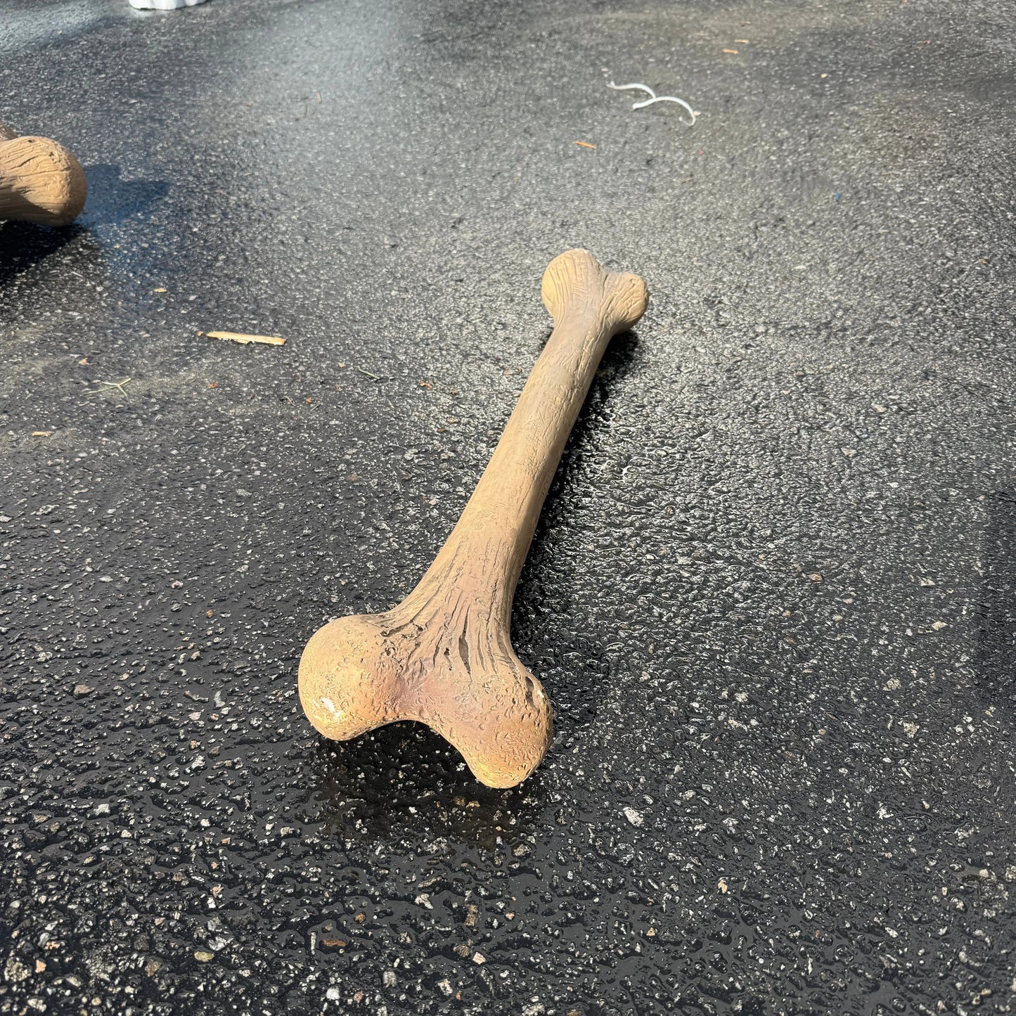 Small Dinosaur Bone Statue A0584-R042-PT