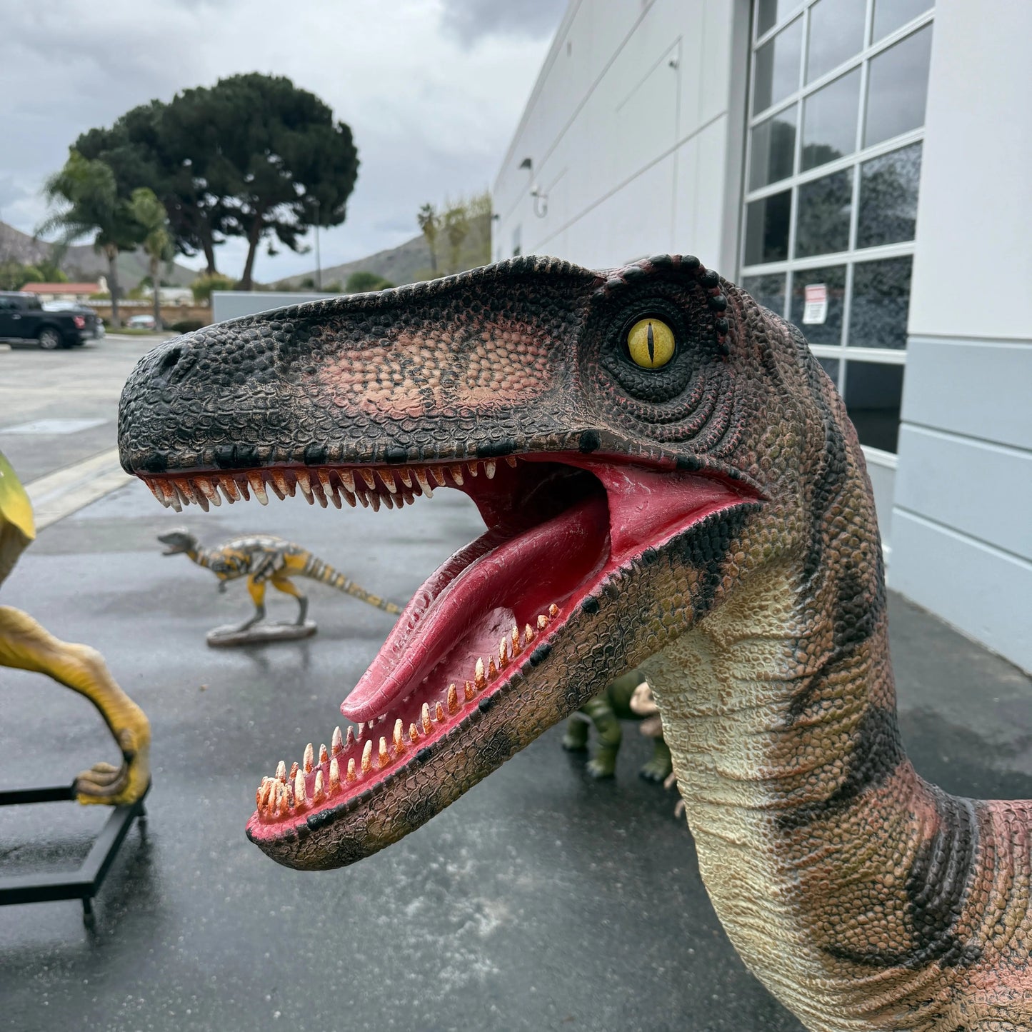 Brown Velociraptor Dinosaur Life Size Statue A0275GC-110015-H