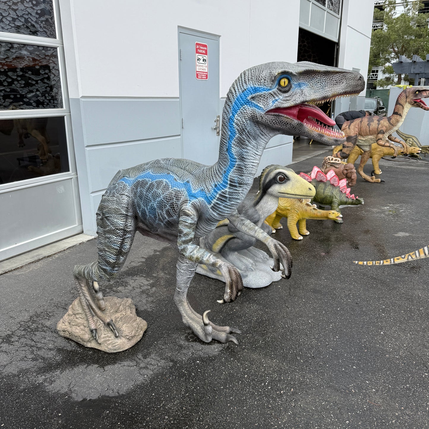 Blue Velociraptor Dinosaur Statue