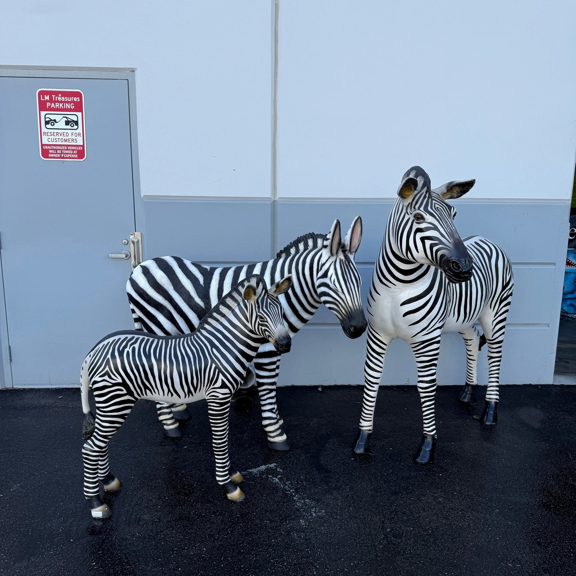 Baby Zebra Statue A0227-110099-H