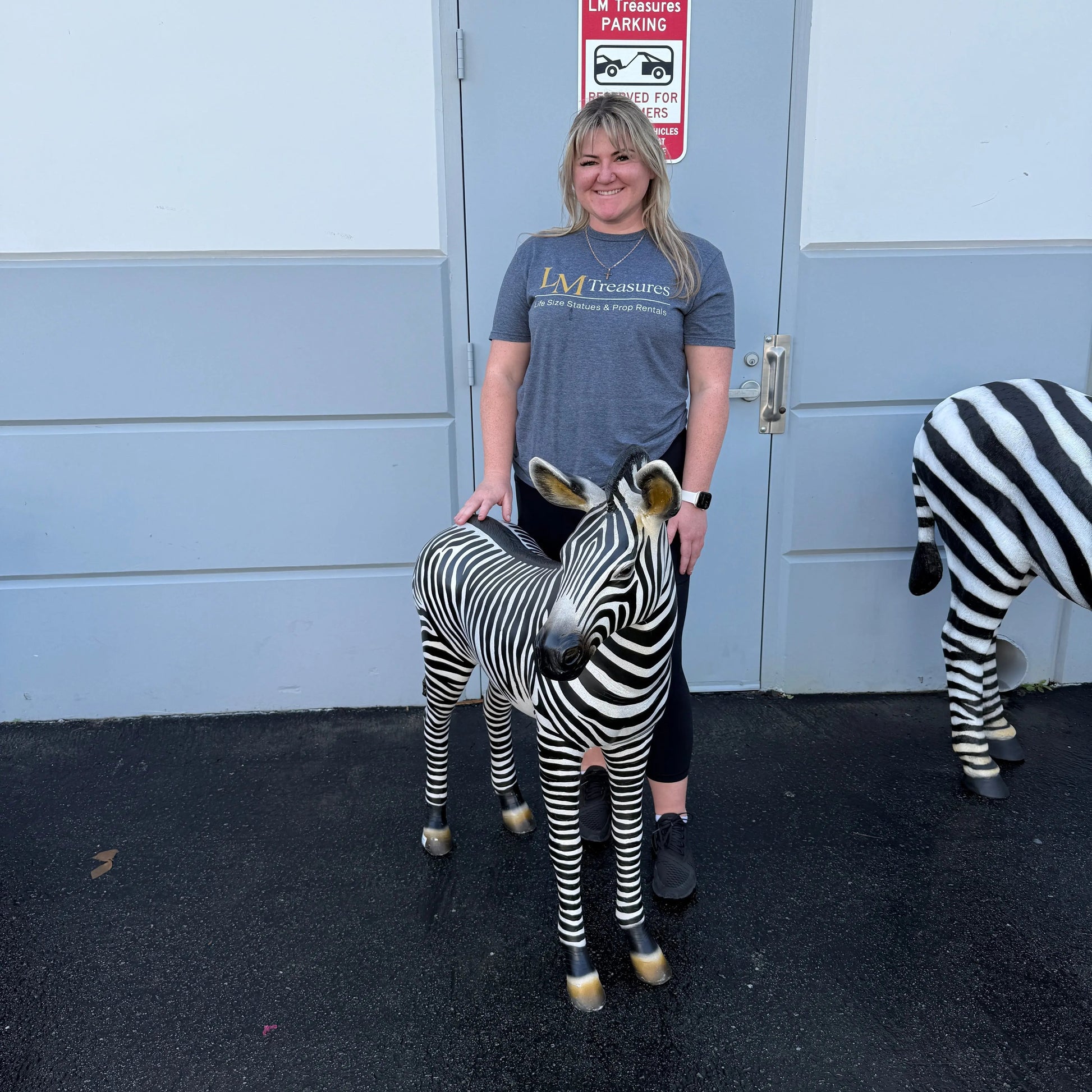 Baby Zebra Statue A0227-110099-H