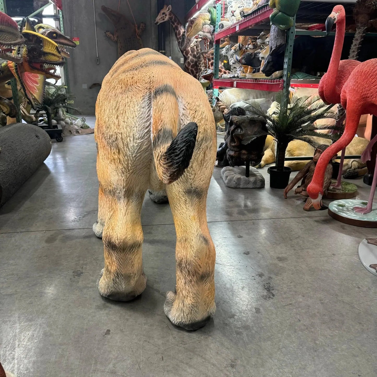 Ferocious Saber Tooth Statue A0510-3162-A