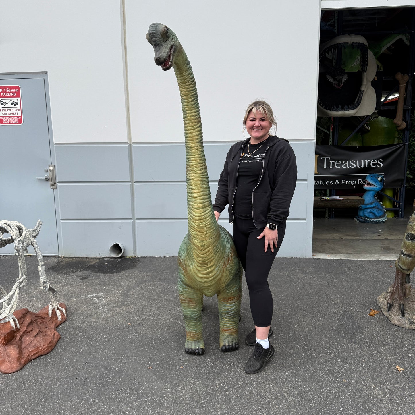 Baby Brachiosaurus Dinosaur Statue