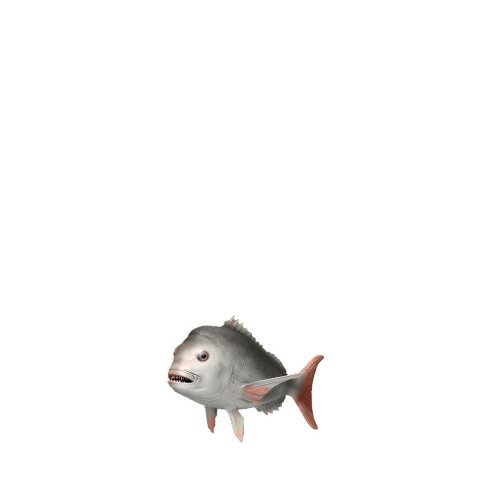 Snapper Fish Statue