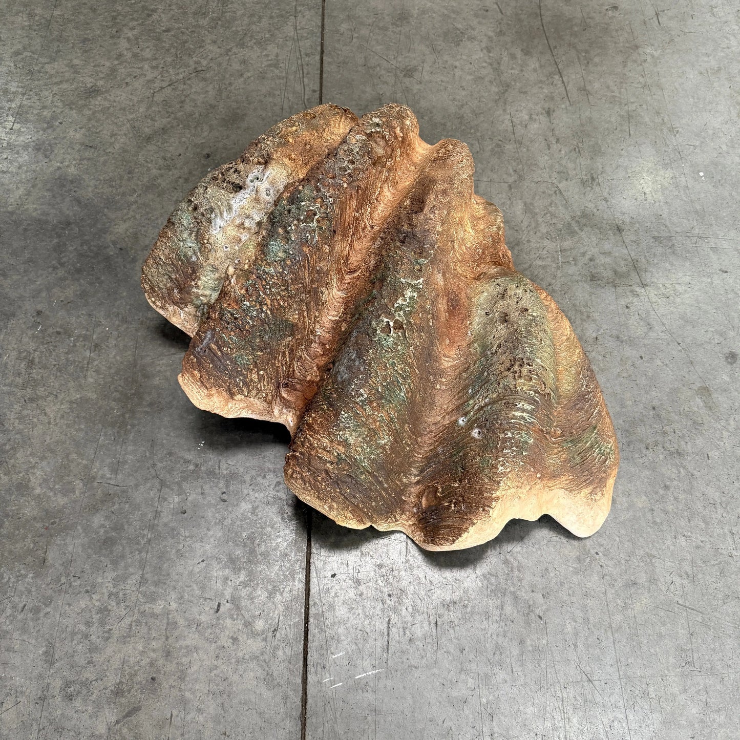 Clam Sea Shell Statue M0090-230049-H