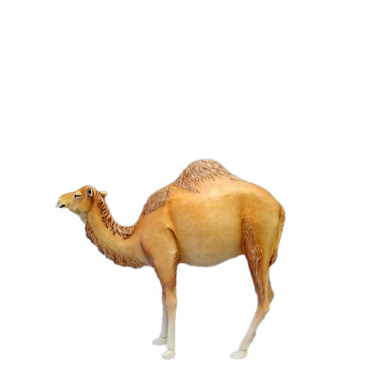 Dromedary Camel Life Size Statue