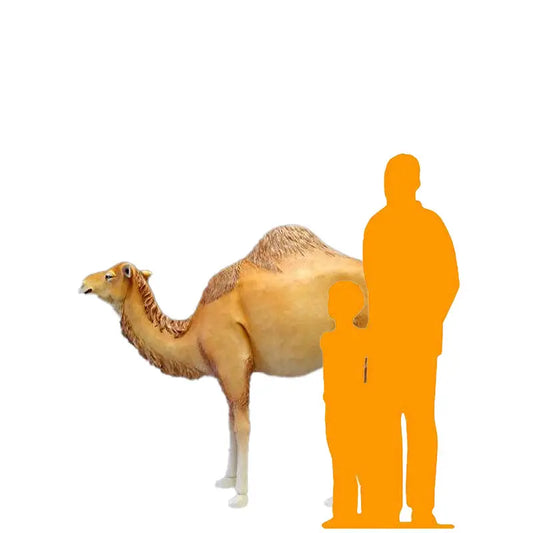 Dromedary Camel Life Size Statue A0440-3588-A