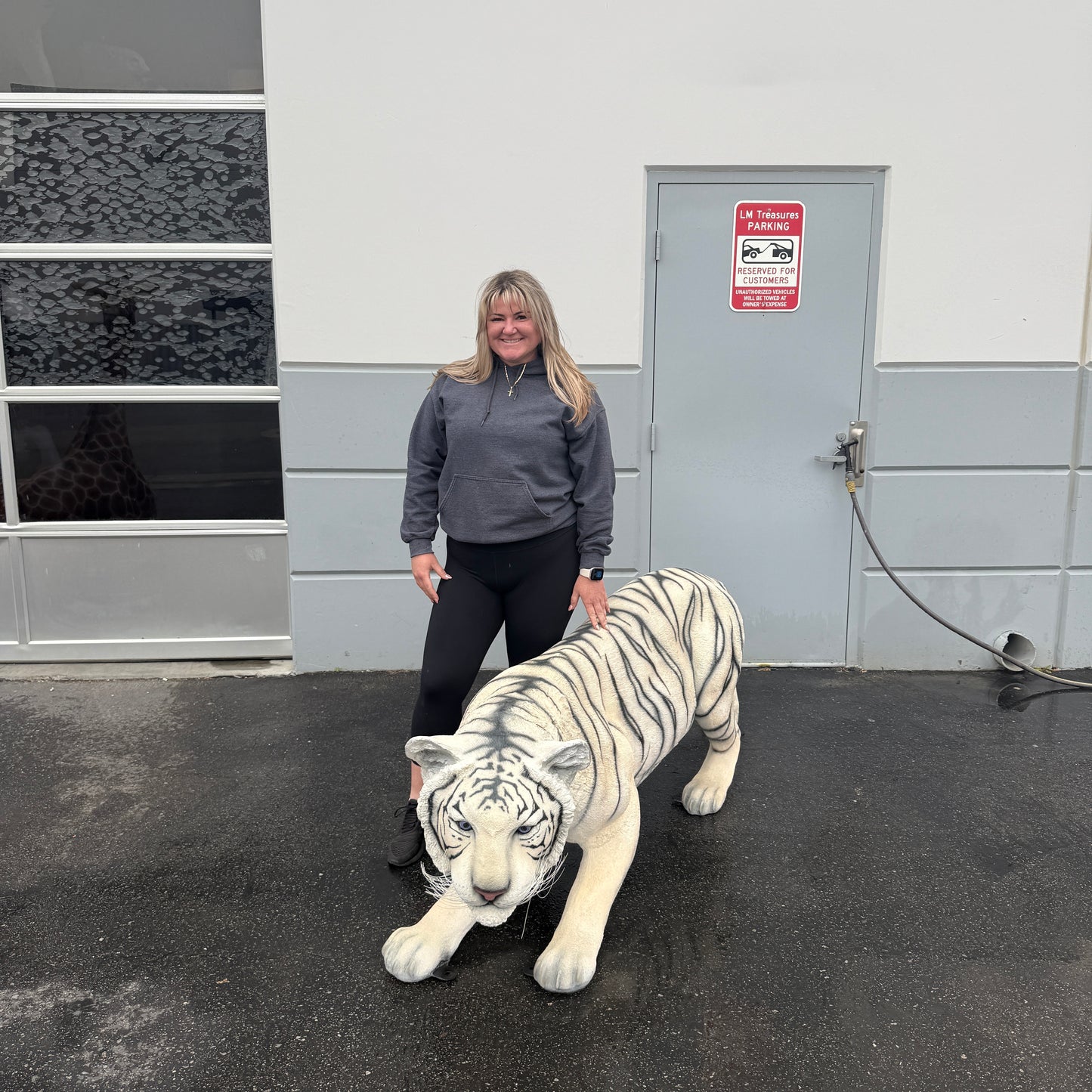 Crouching Siberian Tiger Statue