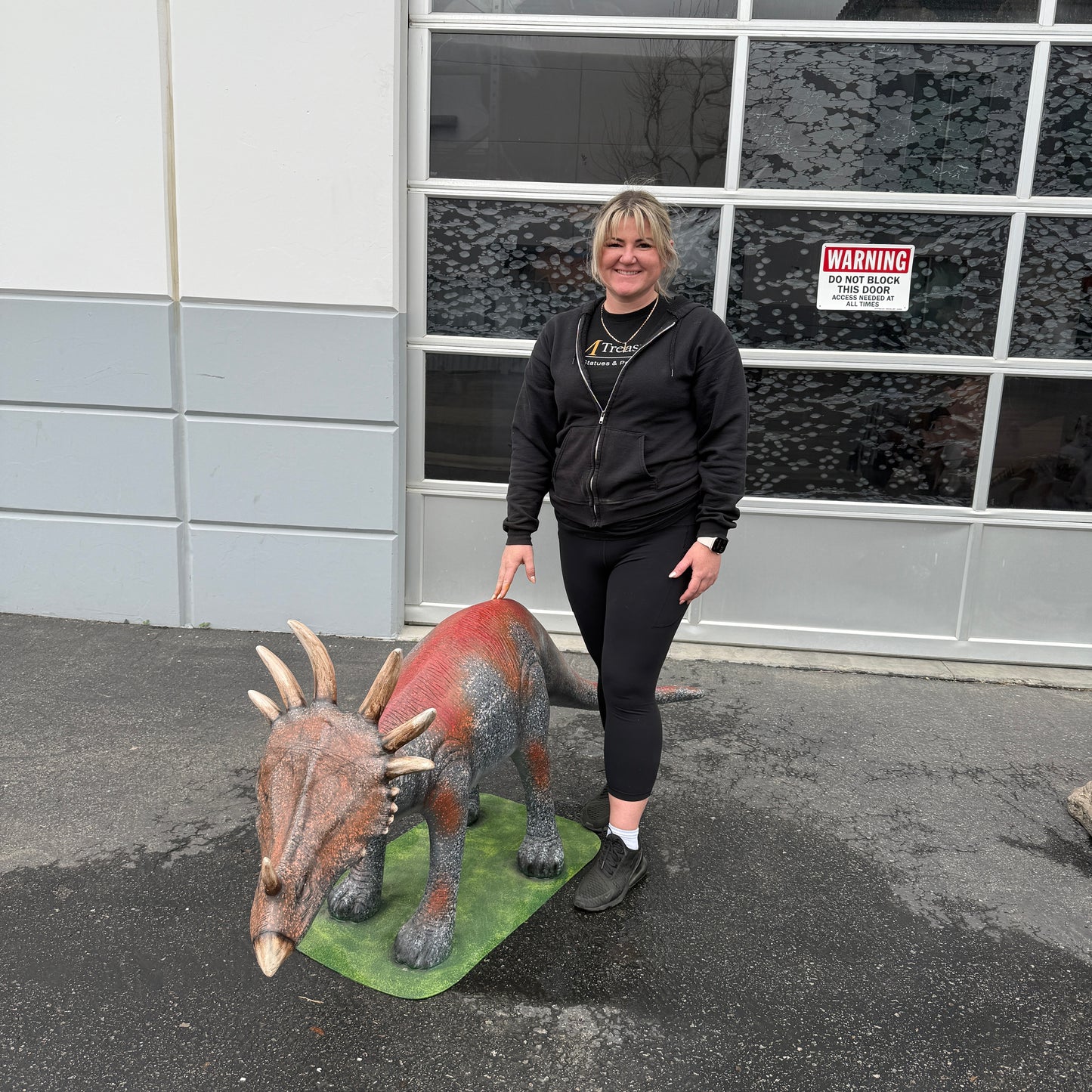 Baby Triceratops Dinosaur Life Size Statue