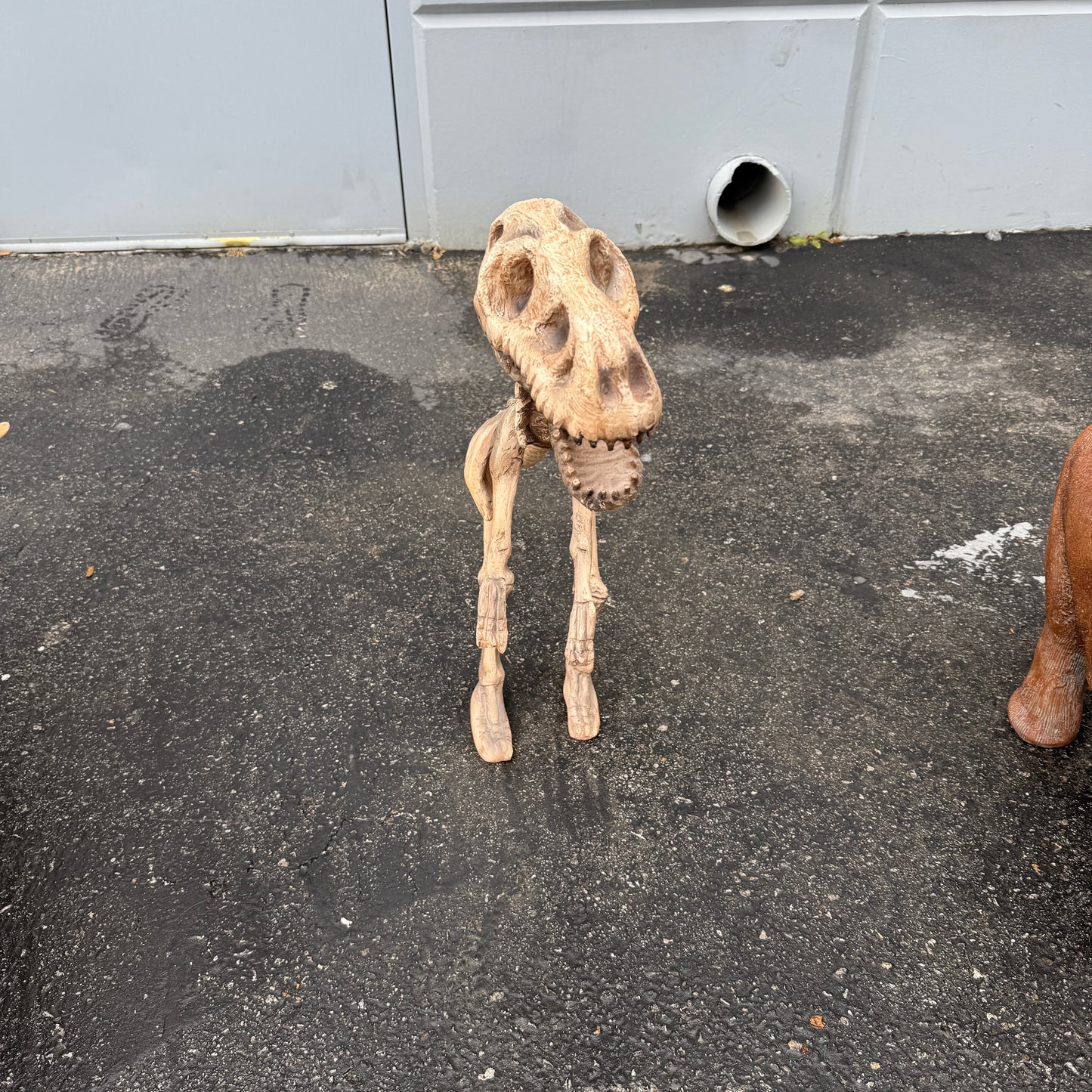 Small T-Rex Dinosaur Skeleton Statue
