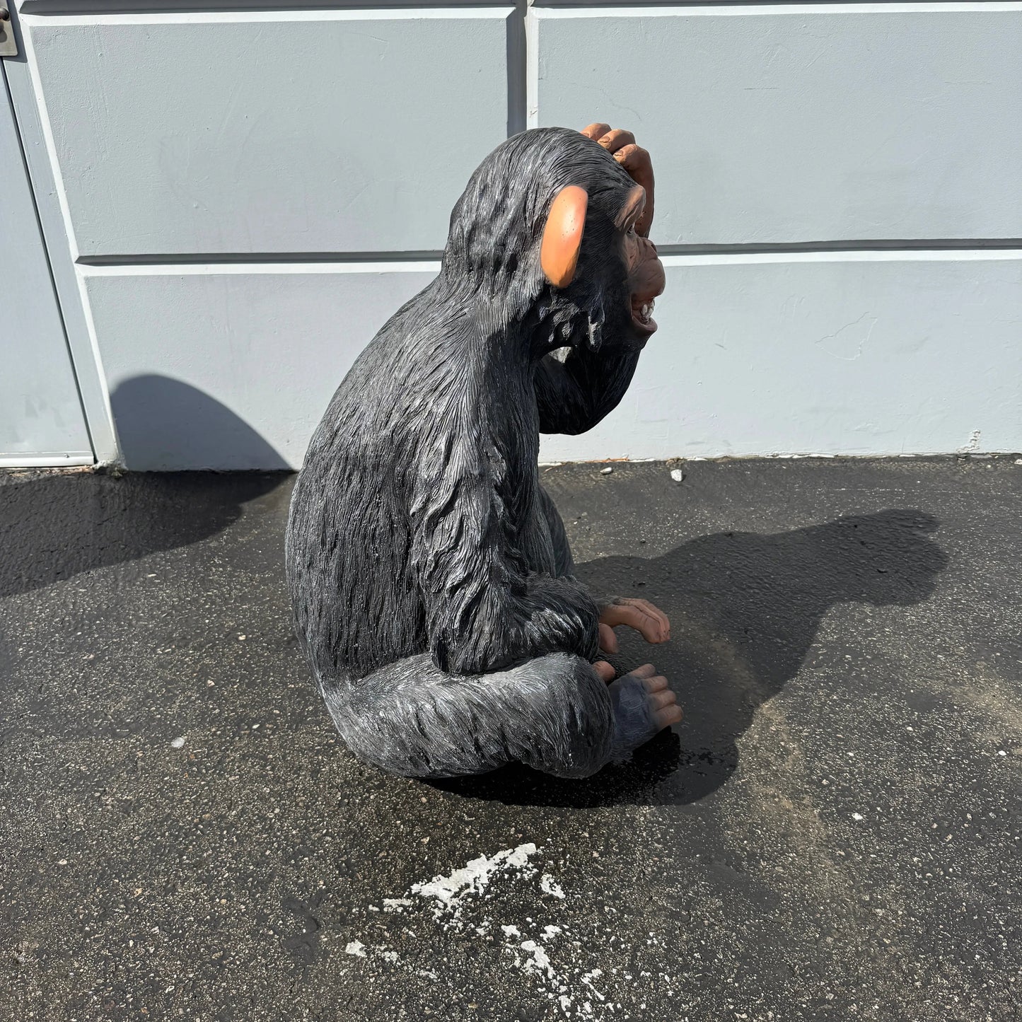 Monkey Max Statue A0721-R255-PT