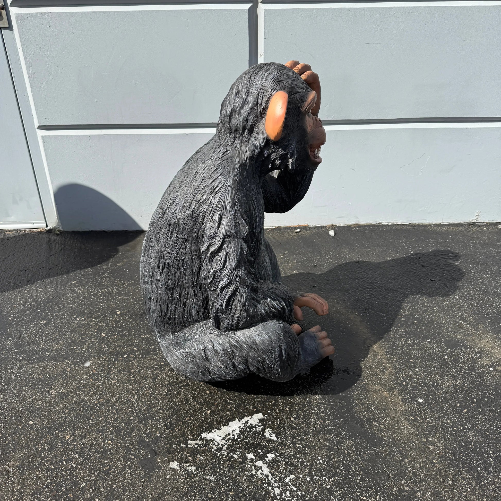 Monkey Max Statue A0721-R255-PT