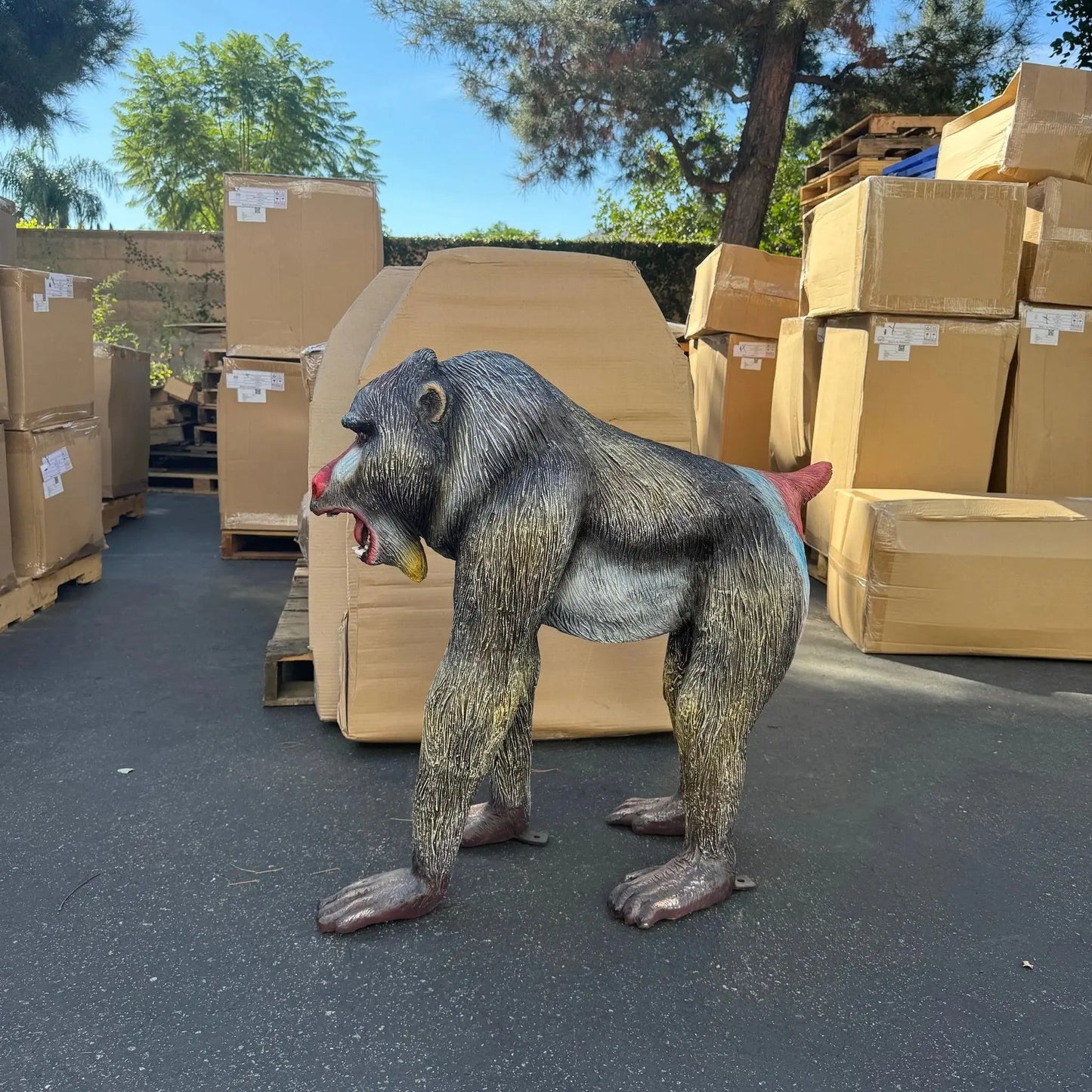 Baboon Monkey Statue A0021-4071-T