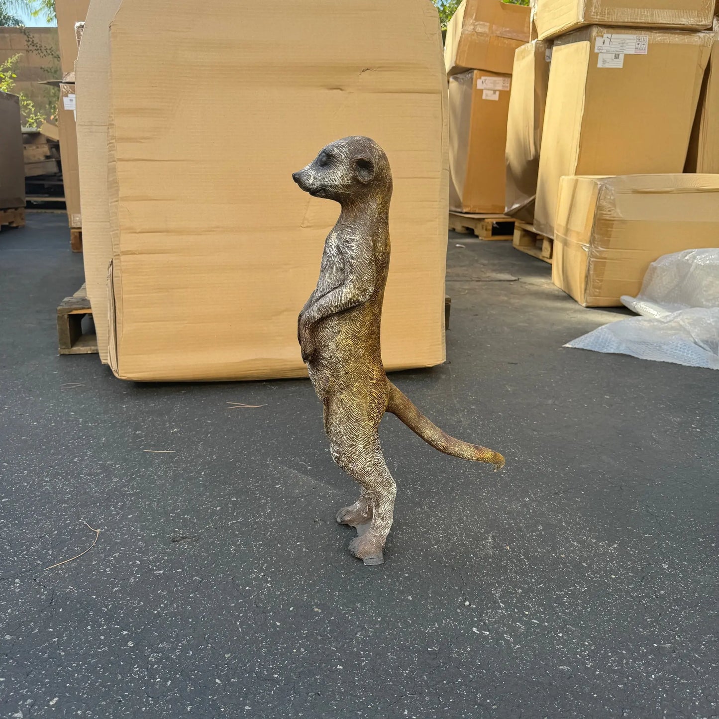 Meerkat Life Size Statue A0108-4073-T