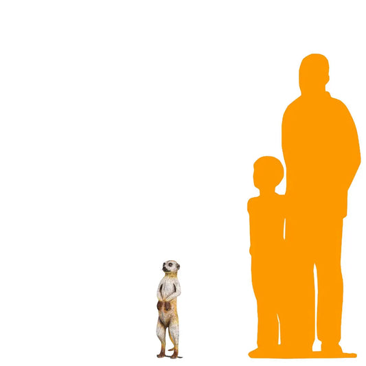 Meerkat Life Size Statue A0108-4073-T