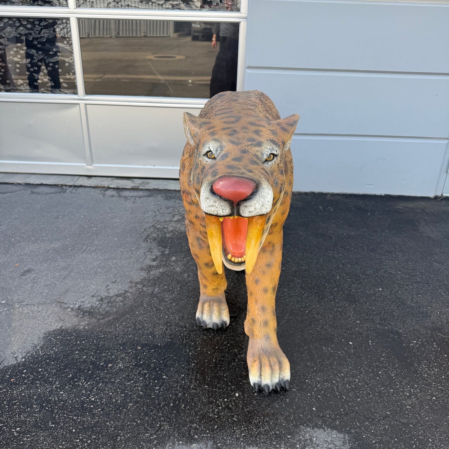 Smilodon Saber Tooth Statue