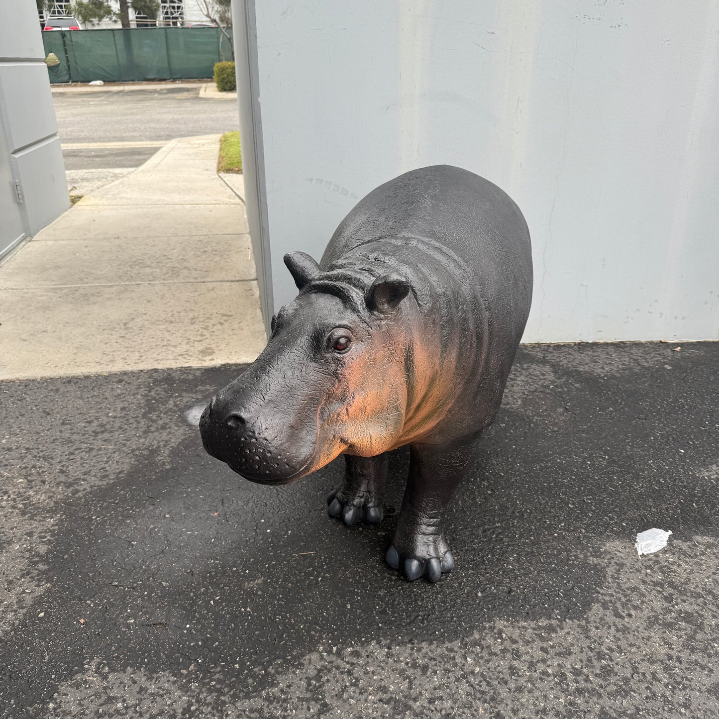 Baby Hippo Statue